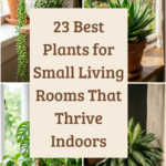 23 Best Plants for Small Living Rooms That Thrive Indoors